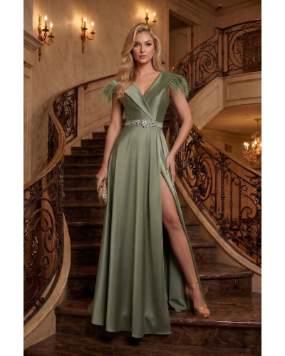 ROCHIE LUNGA DE SEARA OLIVE, ROCHIE DE NASA OLIVE, ROCHIE DE SOACRA LUNGA, ROCHIE LUNGA CU PENE